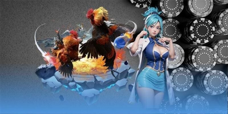 Bí quyết chơi đá gà cựa tròn giành thắng bất bại Bí quyết chơi đá gà cựa tròn giành thắng bất bại