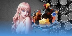 Đá Gà Cựa Tròn - Cuộc Chiến Cân Não Của Những Chiến Kê