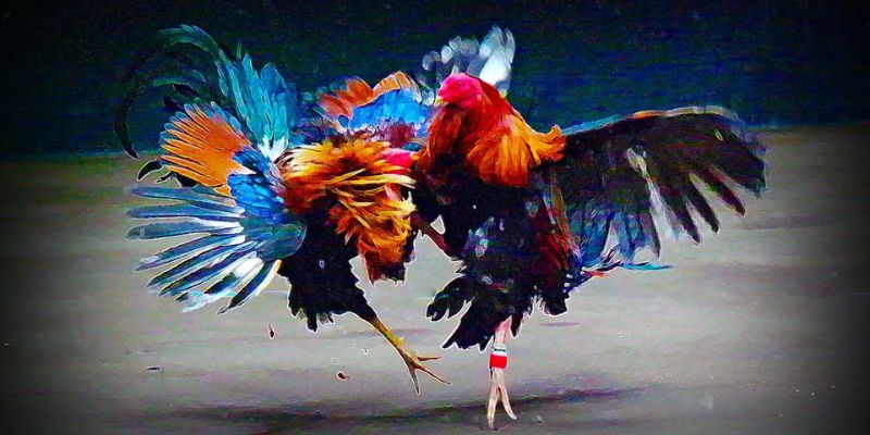 Hỗ trợ kê thủ chuyên nghiệp từ A-Z