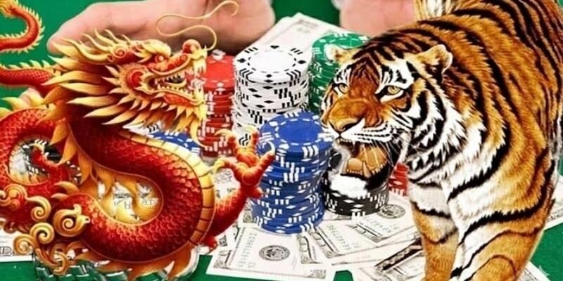 Hướng dẫn cách chơi Rồng hổ Hướng dẫn cách chơi Rồng hổ